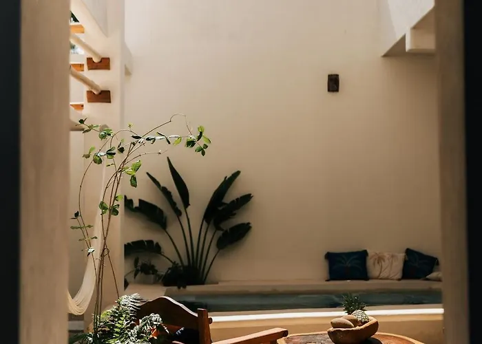 Izkina Casa Centro